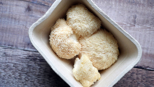 Lion’s Mane Mushroom: The Brain-Boosting Superfood for Cognitive Health