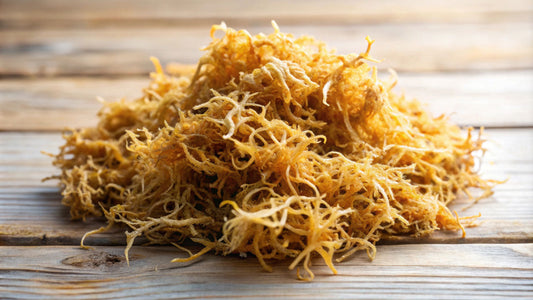 The Ultimate Guide to Irish Sea Moss: Nature’s Superfood for Health & Vitality